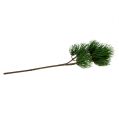 Floristik24 Branche de pin artificiellement verte 45cm