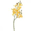 Floristik24 Petite orchidée Phalaenopsis artificielle jaune 30cm
