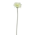Floristik24 Fleurs artificielles Gerbera blanc 45cm