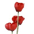 Floristik24 Fleurs artificielles coquelicot rouge 50cm