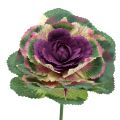 Floristik24 Chou artificiel violet, vert 25cm 6pcs