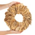 Couronne de champignons arboricoles, couleur naturelle, pour décoration de porte ou de mur, 37 cm | Floristik24.be