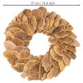 Couronne de champignons arboricoles, couleur naturelle, pour décoration de porte ou de mur, 37 cm | Floristik24.be