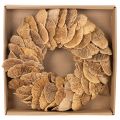 Couronne de champignons