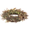 Couronne d'eucalyptus