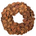 Floristik24 Couronne de lotus séché, couronne décorative de porte, 35 cm