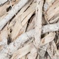 Couronne de branches pour porte, grande décoration 40 cm | Floristik24.be
