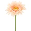 Floristik24 Gerberas artificiels abricot 47 cm, lot de 6
