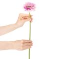 Gerberas artificiels pour jardin, violets, 47 cm, lot de 6 | Floristik24.be