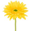 Floristik24 Gerberas artificiels, jaune soleil, fleurs de jardin, 47 cm, lot de 6