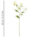 Fleur artificielle Gloriosa, blanche et jaune, élégante branche fleurie décorative, 80 cm, lot de 3 | Floristik24.be