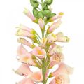 Floristik24 Fleur artificielle jardin vivace saumon fleur artificielle tige fleur H90cm