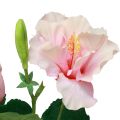 Floristik24 Fleurs artificielles Hibiscus rose 62cm