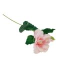 Floristik24 Fleurs artificielles Hibiscus rose 62cm