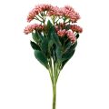 Floristik24 Poule grasse artificielle Sedum Stonecrop floraison rose 47cm 3pcs