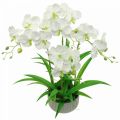 Floristik24 Orchidées artificielles fleurs artificielles en pot blanc 60cm