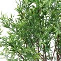 Floristik24 Branches de bambou artificielles branche déco plantes artificielles H70cm 3pcs
