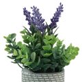 Floristik24 Lavande artificielle en pot céramique violet vert H22cm