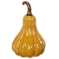 Citrouille décorative pour