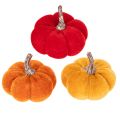 Floristik24 Ensemble décoratif de citrouilles en velours tricolore, mini-citrouilles de 5 cm, 12 pièces