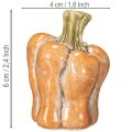 Ensemble de citrouilles : Petites citrouilles décoratives pour la décoration d'automne, 5 cm, lot de 3 | Floristik24.be