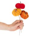 Citrouille décorative sur fil de fer, décoration d'automne, velours, ensemble tricolore, 8 cm, 9 pièces | Floristik24.be