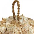 Floristik24 Boule décoration coquille escargots de mer Décoration maritime à suspendre Ø18cm