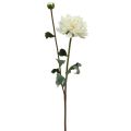 Floristik24 Fleur artificielle Dahlia Blanc Fleur artificielle avec bouton H57cm