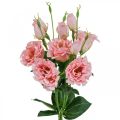 Floristik24 Fleurs artificielles Lisianthus rose fleurs artificielles en soie 50cm 5pcs