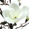 Floristik24 Branche de magnolia artificielle crème 90 cm
