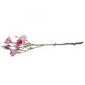 Floristik24 Branche de magnolia fleur artificielle, magnolia rose rose 92cm