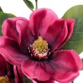 Floristik24 Fleur artificielle branche de magnolia, magnolia artificielle rose 65cm 3pcs