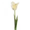 Floristik24 Fleur artificielle, tulipe perroquet vert blanc, fleur de printemps 69cm