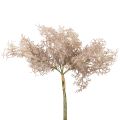 Floristik24 Décoration fleurs artificielles, branche de corail, branches décoratives blanc marron 40cm 4pcs