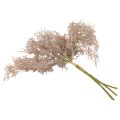 Floristik24 Décoration fleurs artificielles, branche de corail, branches décoratives blanc marron 40cm 4pcs