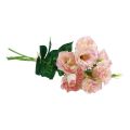 Floristik24 Fleurs artificielles Eustoma Lisianthus rose crème 52cm 5pcs