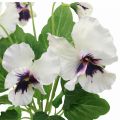 Floristik24 Fleurs Artificielles, Fleurs en Soie, Pensées Violet Blanc 29cm