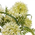 Floristik24 Fleurs artificielles allium blanc décoration oignons ornementaux 34cm 3pcs en bouquet