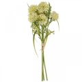 Floristik24 Fleurs artificielles allium blanc décoration oignons ornementaux 34cm 3pcs en bouquet