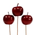 Floristik24 Fruit artificiel pomme peinte en rouge Ø5.5cm 12pcs
