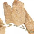 Floristik24 Plante artificielle branche déco automne feuilles lavées blanc L70cm