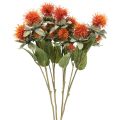 Floristik24 Plantes artificielles carthame chardon branche chardon orange 4pcs