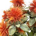Floristik24 Plantes artificielles carthame chardon branche chardon orange 4pcs