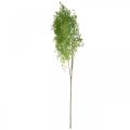 Floristik24 Plante artificielle asperge de printemps branche décorative connectique vert H108cm