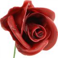 Roses artificielles Bordeaux roses en cire roses décoratives en cire Ø6cm 18 pcs | Floristik24.be
