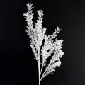 Floristik24 Branche artificielle décorative givrée, décoration d'hiver blanche 78 cm, 2 pièces