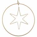 Floristik24 Étoile LED dans un anneau décoratif à accrocher en métal doré Ø30cm
