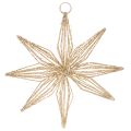 Floristik24 Étoile décorative LED en fil de fer à suspendre, 20 LED, blanc chaud, intérieur, 22 cm