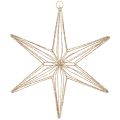 Floristik24 Étoile décorative à LED en fil de fer à suspendre, pour usage intérieur, 32 cm