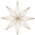 Floristik24 Étoile décorative LED en fil de fer à suspendre, pour usage intérieur, fonctionne sur piles, 51 cm